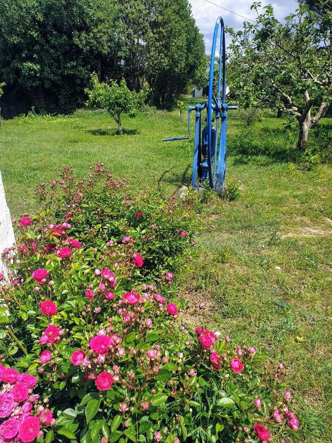 Sondela Self Catering Apartment Sao Martinho do Porto Ngoại thất bức ảnh