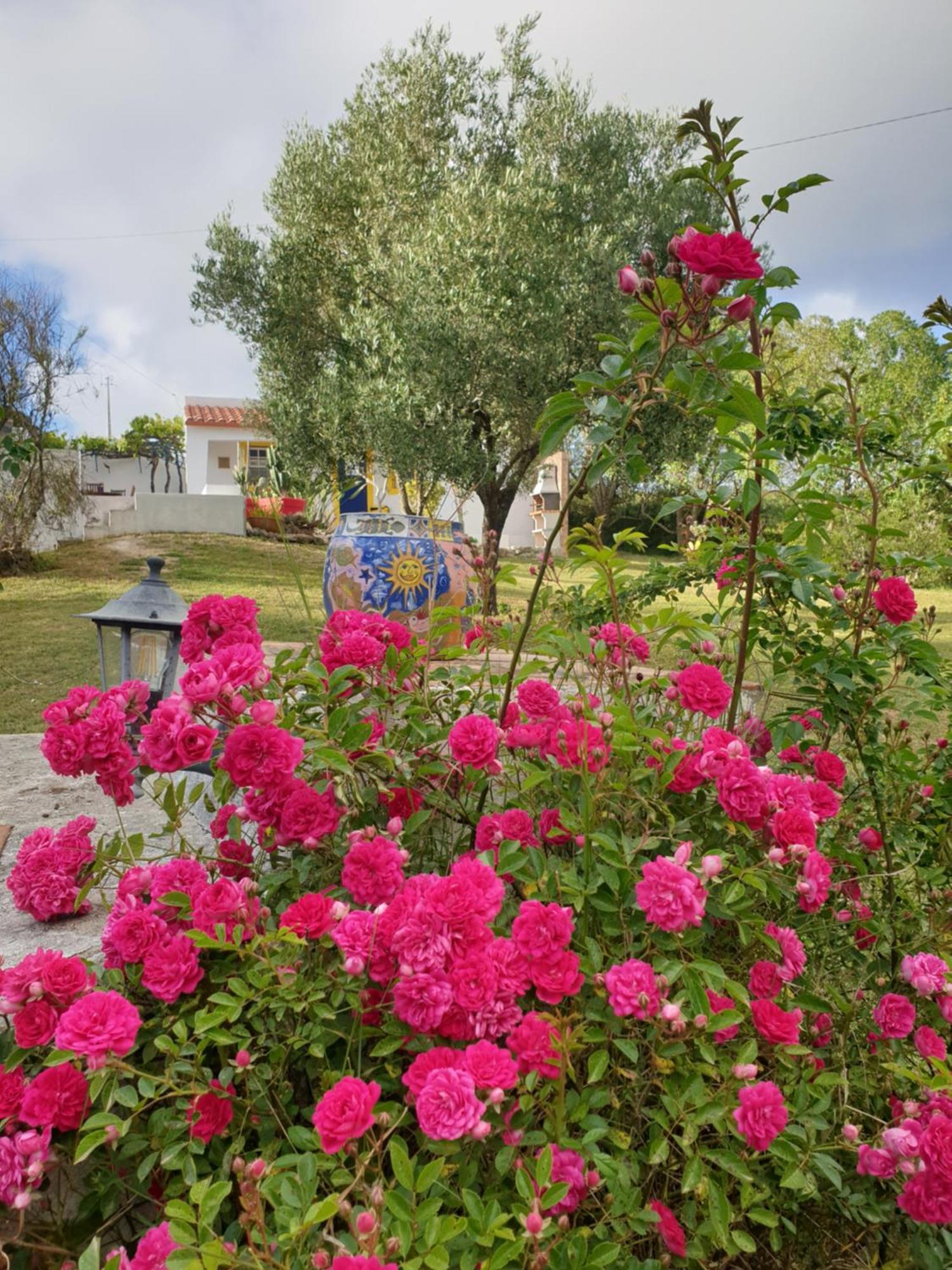 Sondela Self Catering Apartment Sao Martinho do Porto Ngoại thất bức ảnh